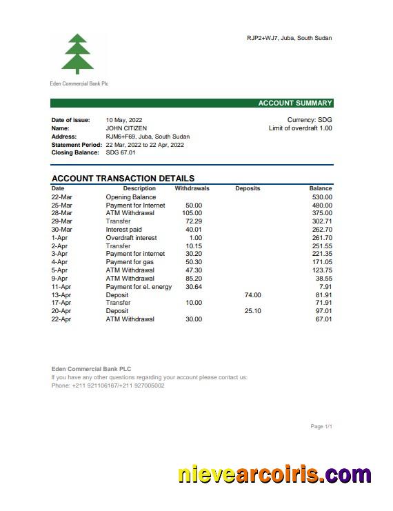 South Sudan Eden Commercial Bank statement, Excel and PDF